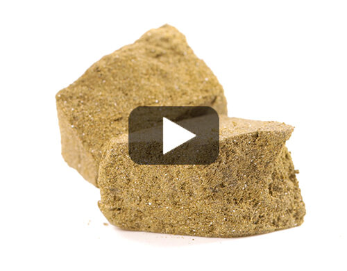 video-ak47-extra-dry-hachis-legal