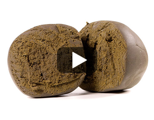 video-nepalese-hachis-legal