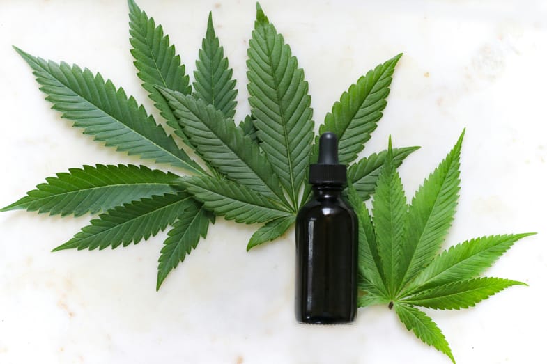 Hojas de cannabis junto a frasco de aceite de cannabinoide para uso tecnico