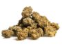 Una cima de Marihuana cbd Blueberry Small Buds