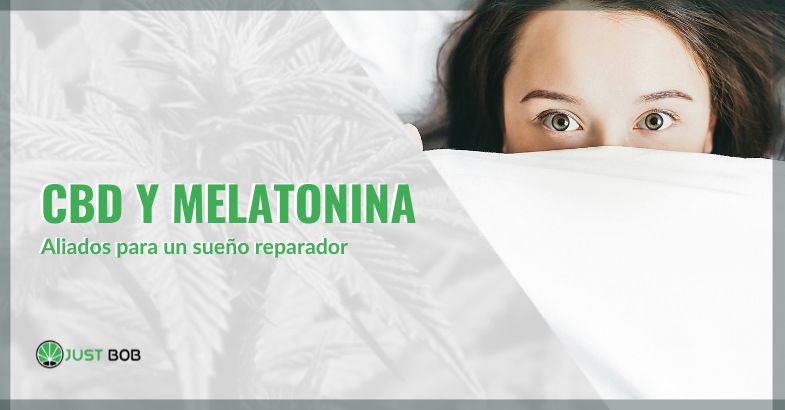cbd y melatonina | just bob shop