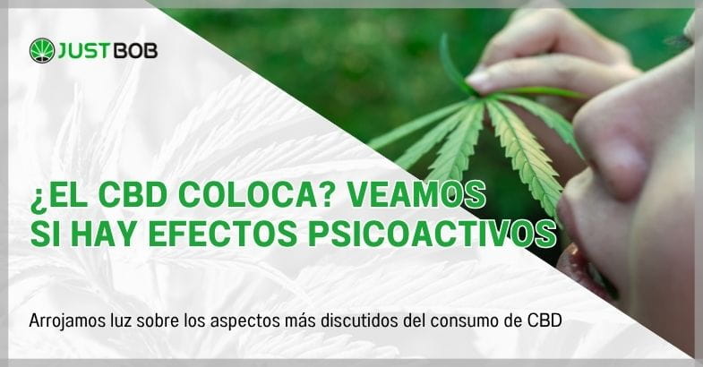 ¿El CBD coloca? Veamos si hay efectos psicoactivos