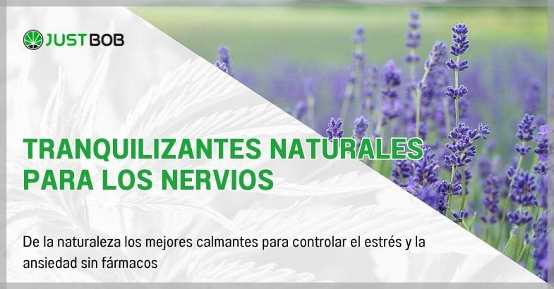 Tranquilizantes naturales para los nervios
