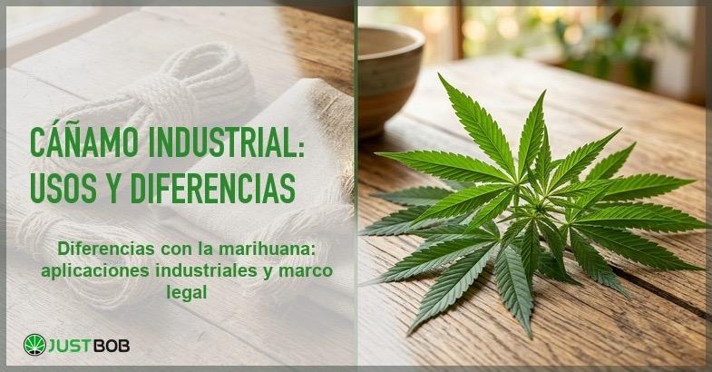 Cuerda y tejido de canamo industrial junto a hojas de cannabis sativa sobre una mesa de madera