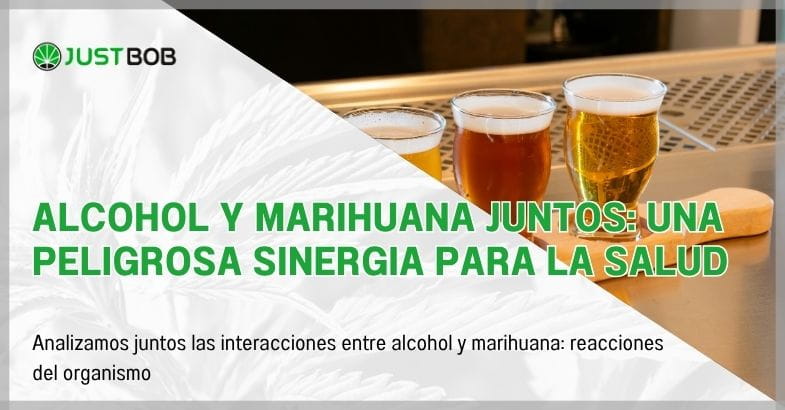 Alcohol y marihuana juntos: una peligrosa sinergia para la salud