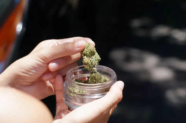 Hombre sosteniendo un cogollo de cannabis sacado de un tarro