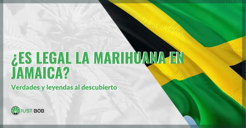 ¿Es legal la marihuana en Jamaica? Verdades y leyendas al descubierto | Justbobshop