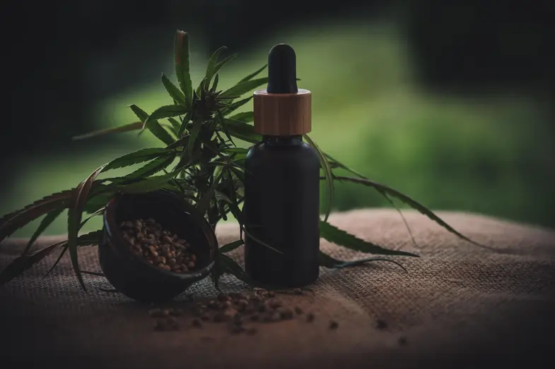 Imagen evocadora de cannabis CBD | Just Bob Shop