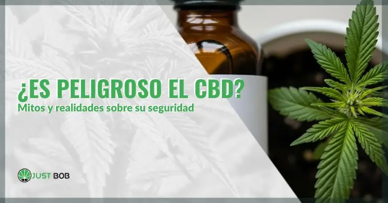 ¿Es peligroso el CBD? Mitos y realidades sobre su seguridad | Just Bob Shop