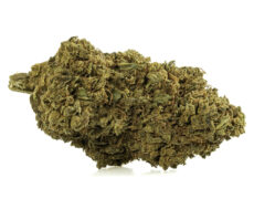 Cogollos CBD – Double Cookies
