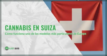 Cannabis en Suiza: cómo funciona uno de los modelos más particulares de Europa | Justbobshop