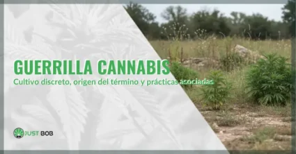 Guerrilla cannabis: cultivo discreto, origen del término y prácticas asociadas | Justbobshop
