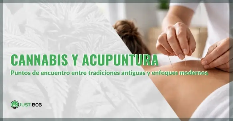 Cannabis y acupuntura: puntos de encuentro entre tradiciones antiguas y enfoques modernos | Justbobshop