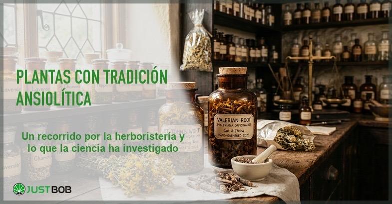 Hierbas medicinales secas de valeriana pasiflora y manzanilla en frascos de vidrio en estanteria de herboristeria