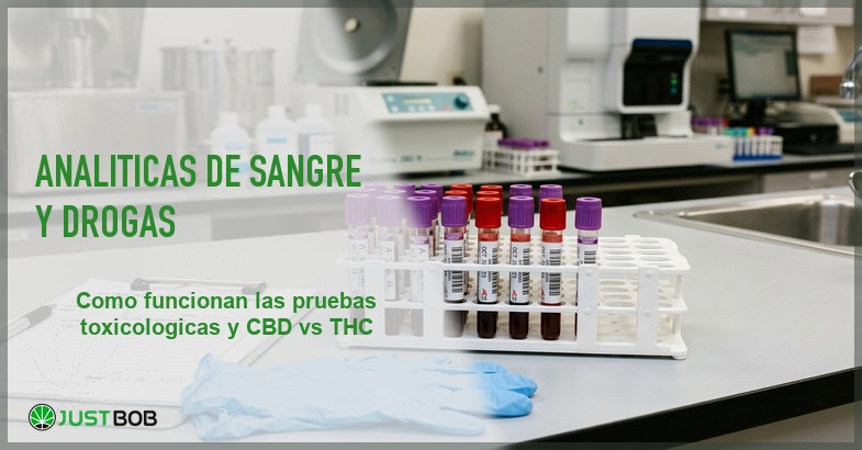 Análisis de sangre y detección de drogas: pruebas para THC y otros cannabinoides