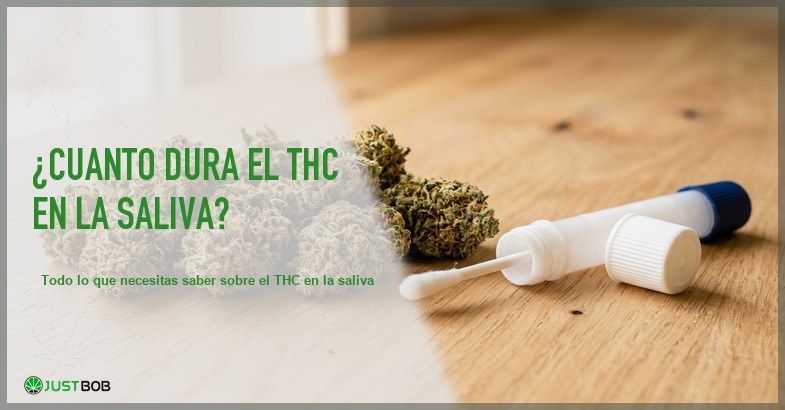 ¿Cuánto dura el THC en la saliva? Test de saliva y ventanas de detección