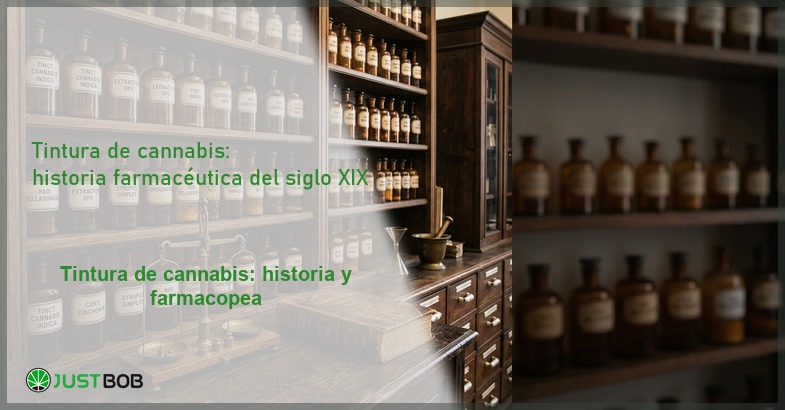 Tintura de cannabis: historia farmacéutica del siglo XIX